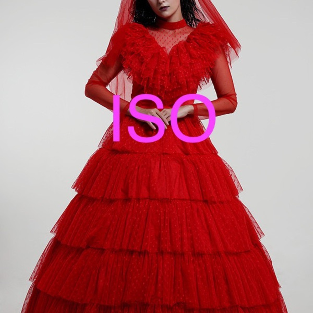 ISO Miccocostumes Beetlejuice Lydia Deetz dress.
